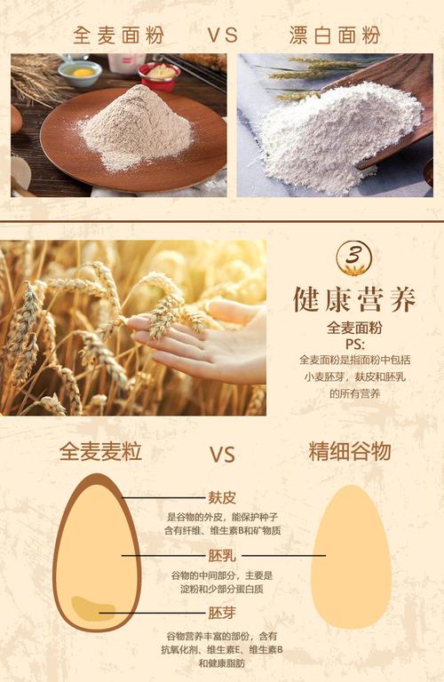小麦粉和面粉的区别抖音