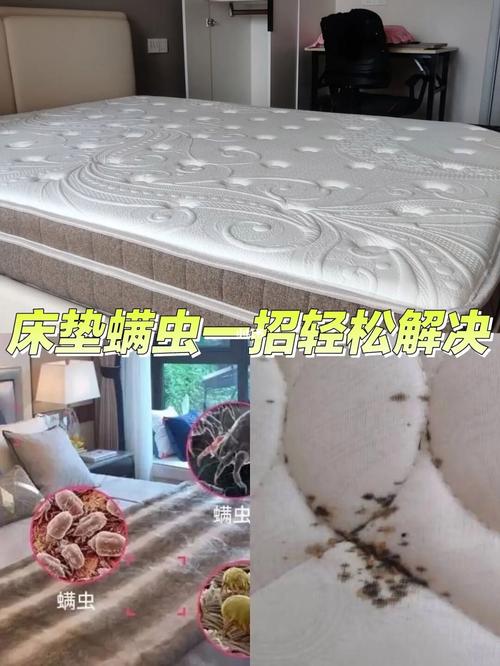 床上除螨虫的最快方法，除螨虫的简单方法