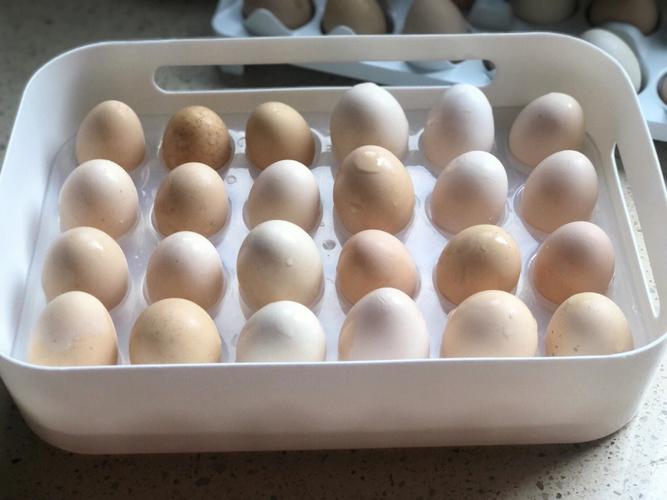 鸡蛋洗了容易坏吗