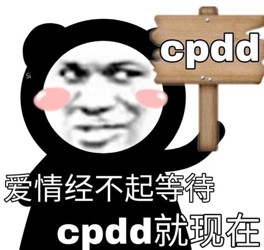 cpdd啥意思的相关图片