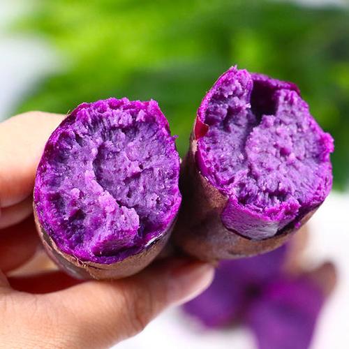 孕妇可以吃紫薯吗的相关图片