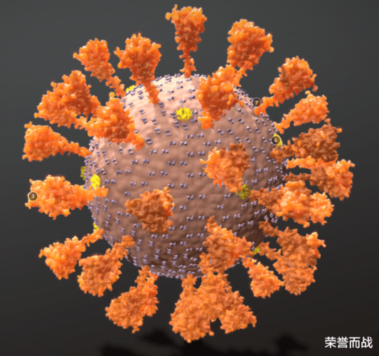 新冠病毒是什么颜色?的相关图片