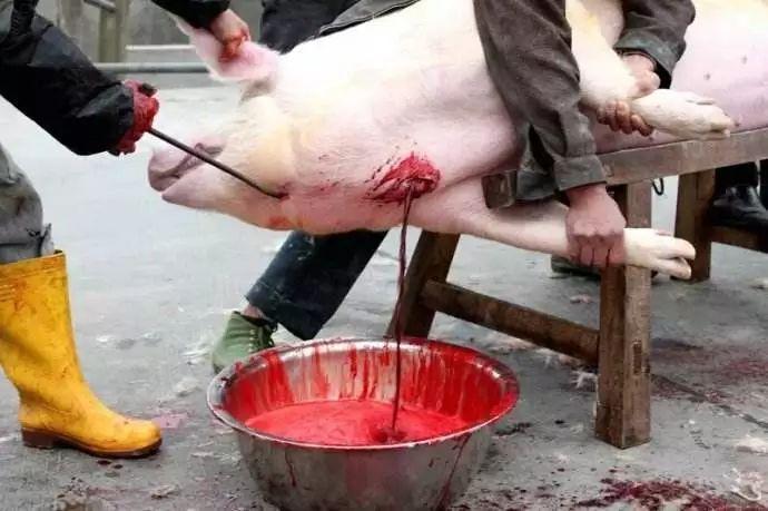 杀猪是什么意思的相关图片