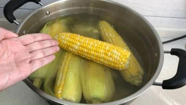 玉米煮几分钟的相关图片