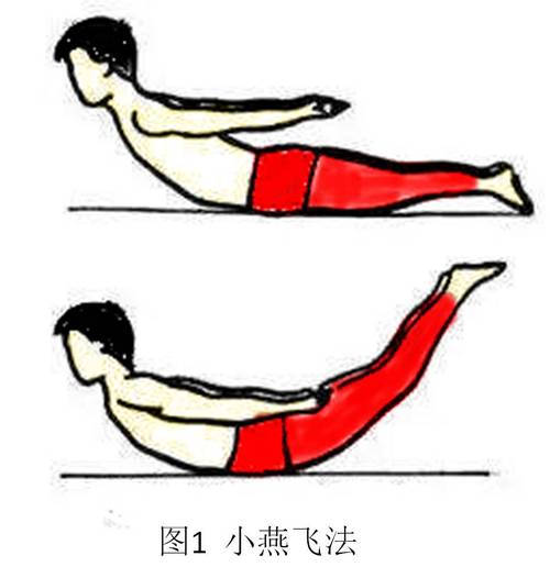 腰部肌肉怎么锻炼的相关图片