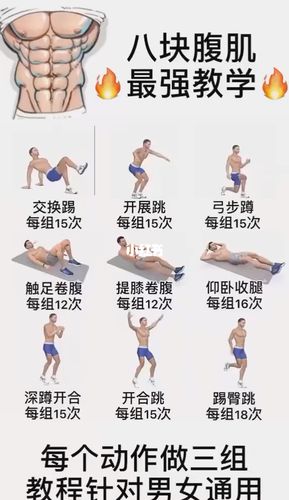 腹肌怎么练最有效最快,腹肌锻炼方法图解的相关图片