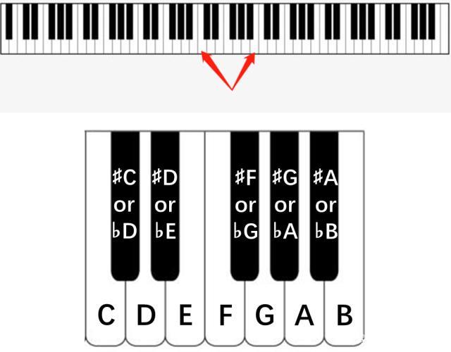 钢琴黑白键宽度是多少？的相关图片
