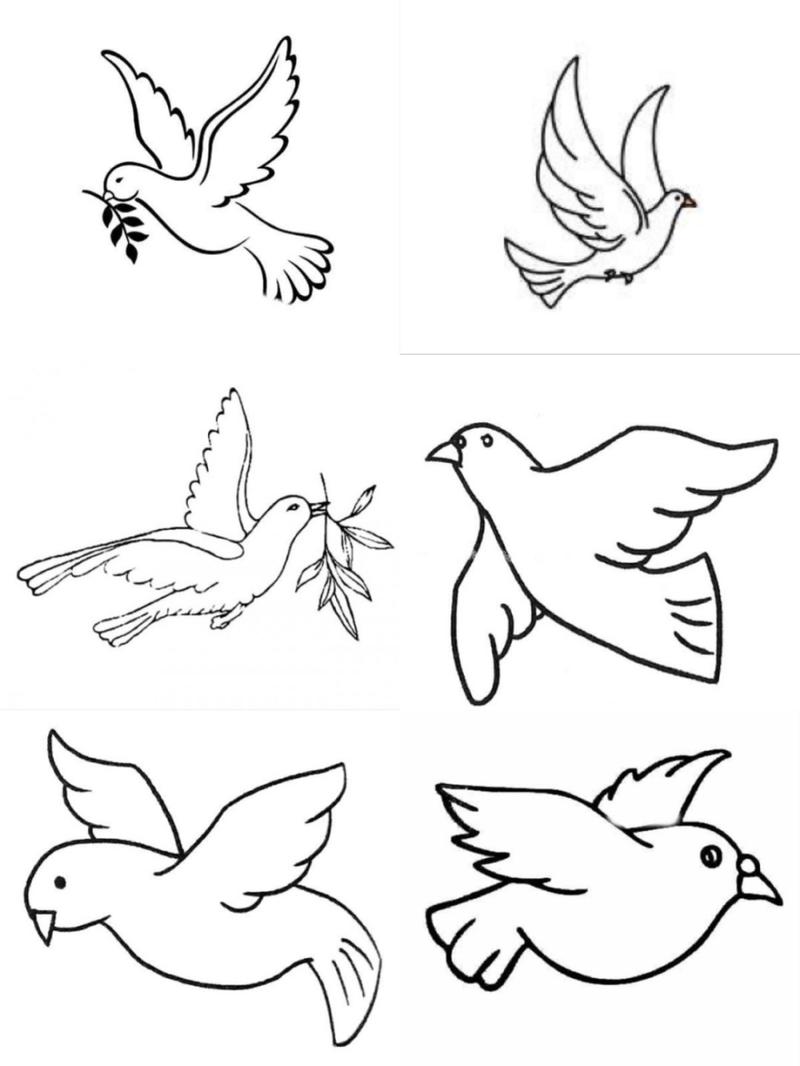鸽子简笔画怎么画,抓住大的形体简单易学的相关图片
